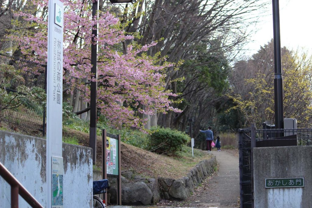 林試の森公園入口